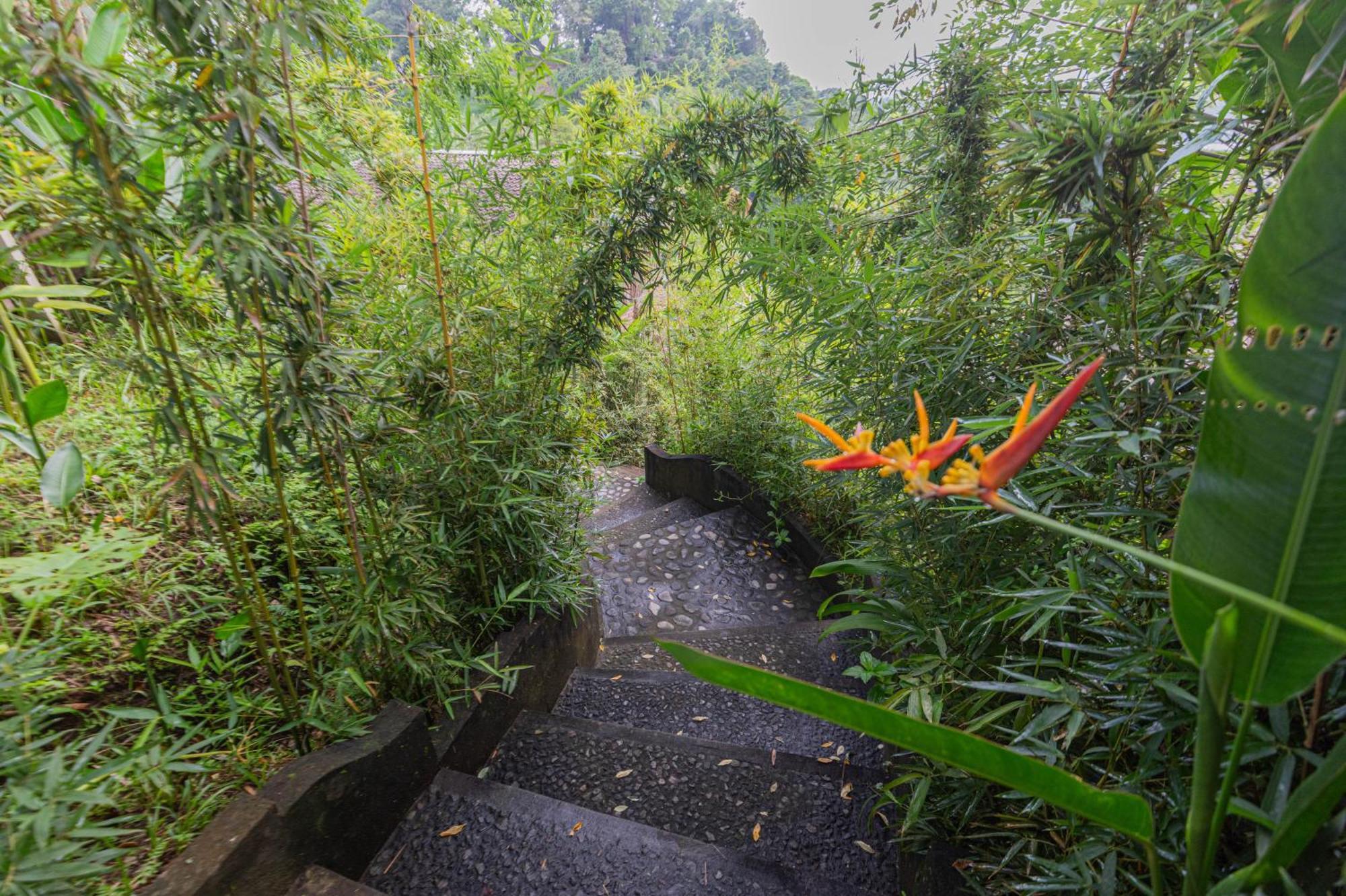 Villa Shigar Livin Bali Sidemen  Exterior foto